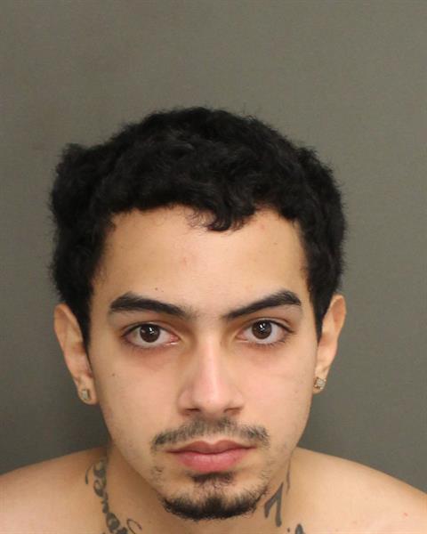  MIGUEL SALGADOBRAVO Mugshot / County Arrests / Orange County Arrests