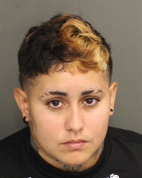  NEICHARY RIVERAVARGAS Mugshot / County Arrests / Orange County Arrests