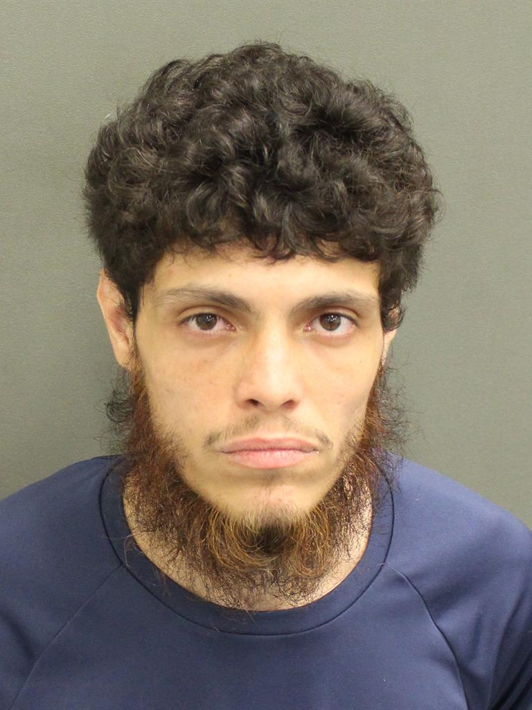  TYLER HERNANDEZ Mugshot / County Arrests / Orange County Arrests