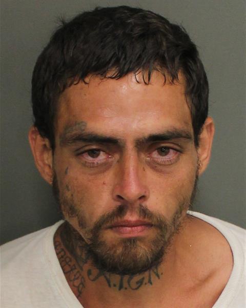  DALE A KOZEROFF Photo Image