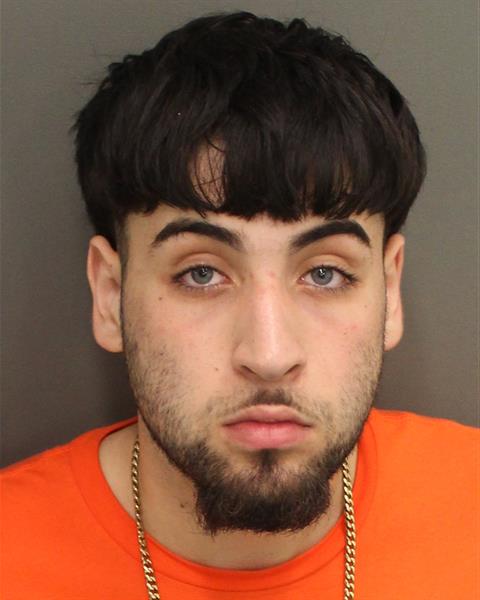  JOSHUA GIOTTO Mugshot / County Arrests / Orange County Arrests