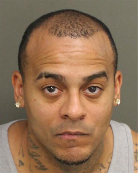  JULIANNY EMIL URENA Photo Image