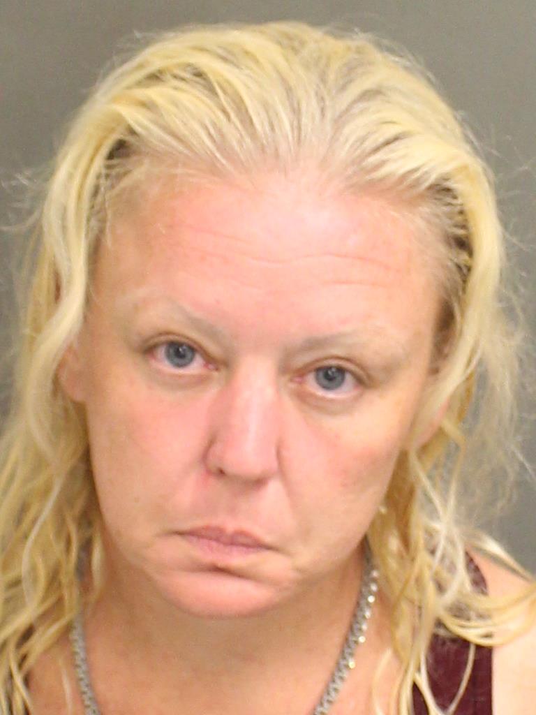  AMBER FOX Photo Image