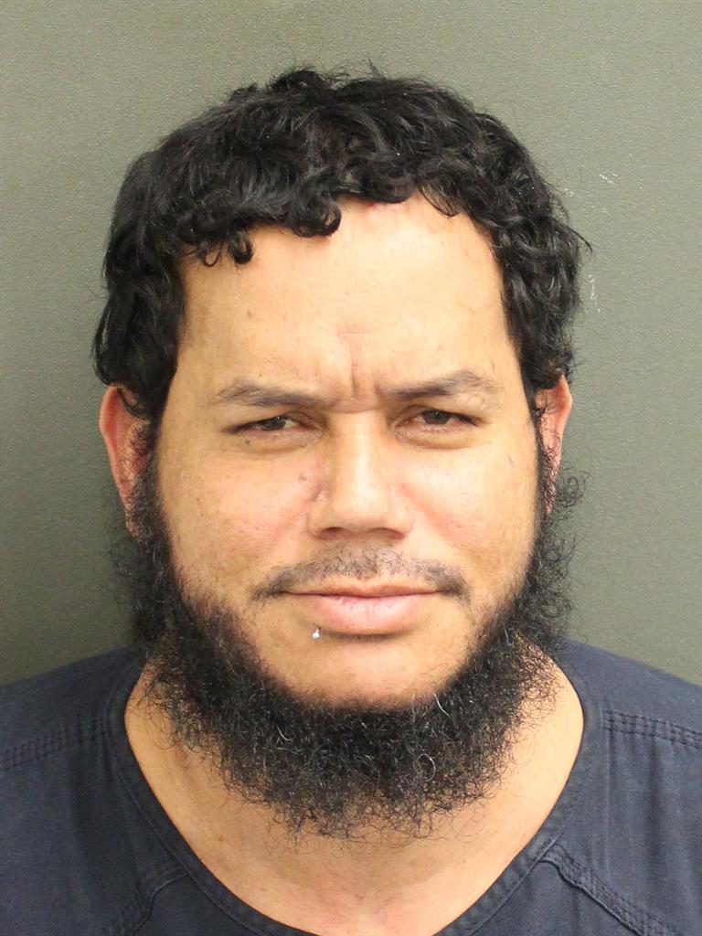  RAMAIYA LUIS SEGARRARUIZ Mugshot / County Arrests / Orange County Arrests