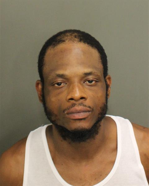  ROBERT LAMAR JR WILLIAMS Photo Image