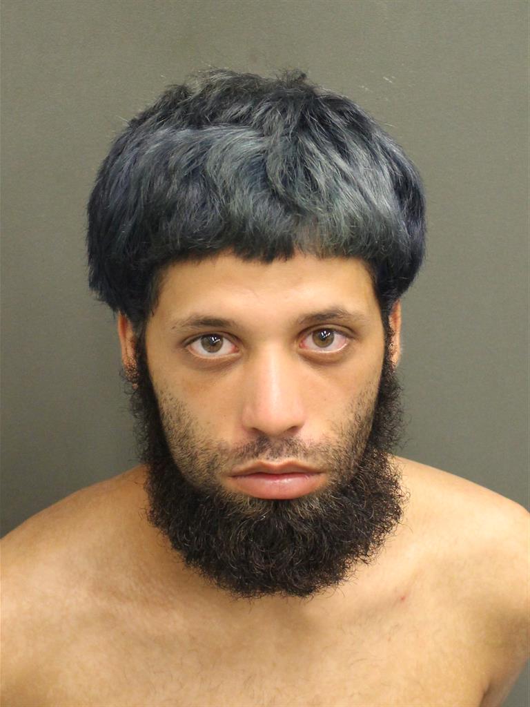  JORGE CHRISTOPHER VILLAVERDE Mugshot / County Arrests / Orange County Arrests