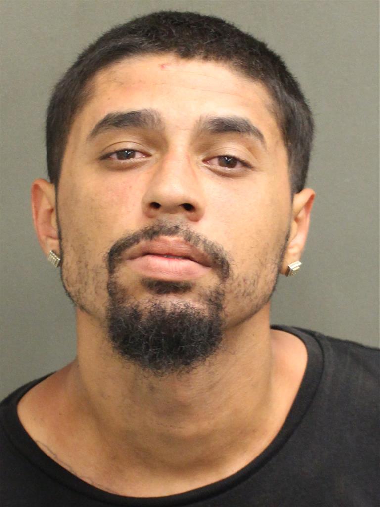 RICHARD M PALAU Mugshot RICHARD M PALAU Mugshot / County Arrests / Orange County Arrests