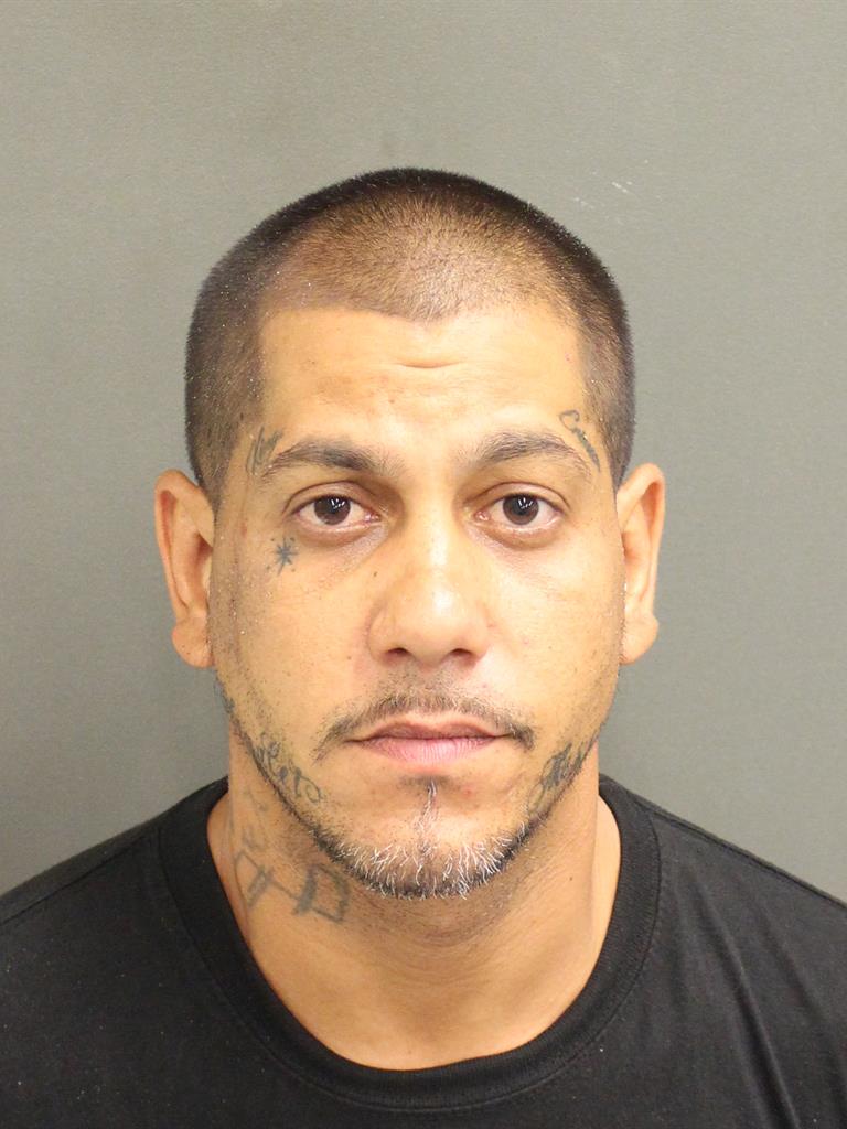  NICOLAUS RICCI Mugshot / County Arrests / Orange County Arrests