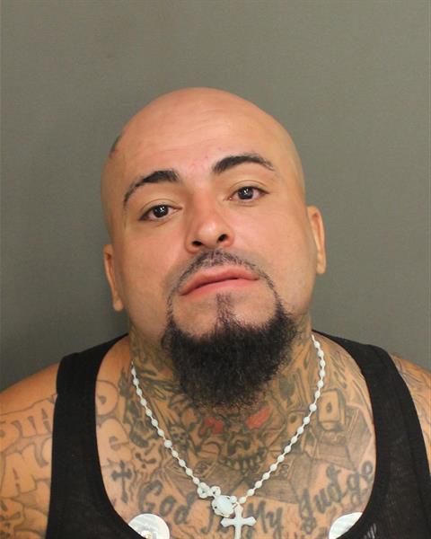  JOSE FLORES Mugshot / County Arrests / Orange County Arrests