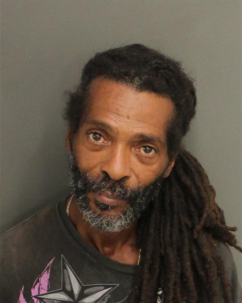  JAMES EARL MITCHELL Mugshot / County Arrests / Orange County Arrests