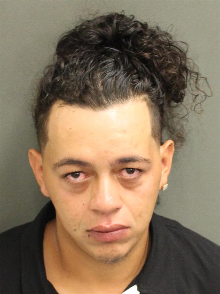 JOSE LUIS LOPEZ Mugshot JOSE LUIS LOPEZ Mugshot / County Arrests / Orange County Arrests