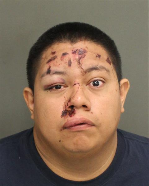  JAVIER SANTANA Photo Image