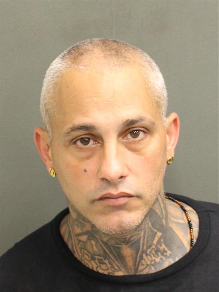  JOSEPH DAGOSTINO Mugshot / County Arrests / Orange County Arrests