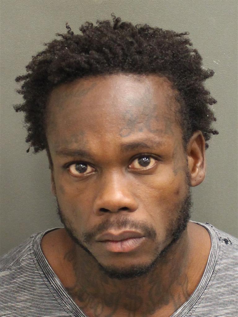  JUNIOR LOUIS Mugshot / County Arrests / Orange County Arrests