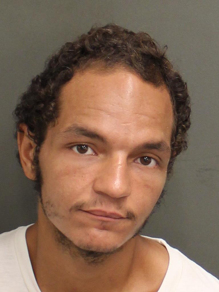  LUIGI K RIVERA Mugshot / County Arrests / Orange County Arrests