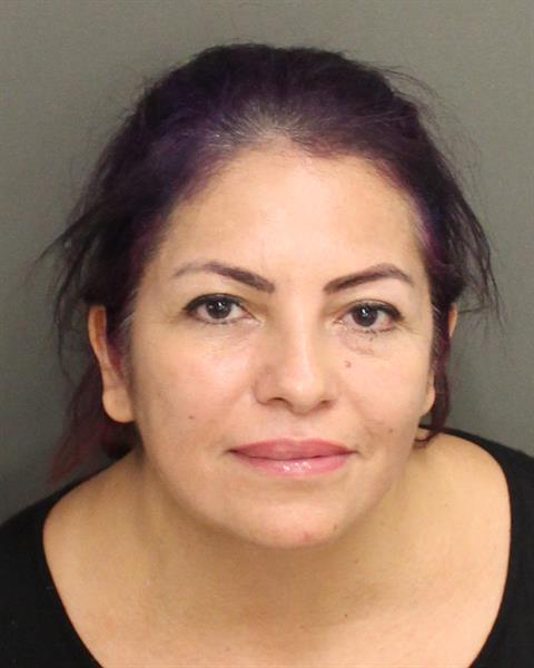  CLAUDIA PATRICIA GOODWIN Mugshot / County Arrests / Orange County Arrests