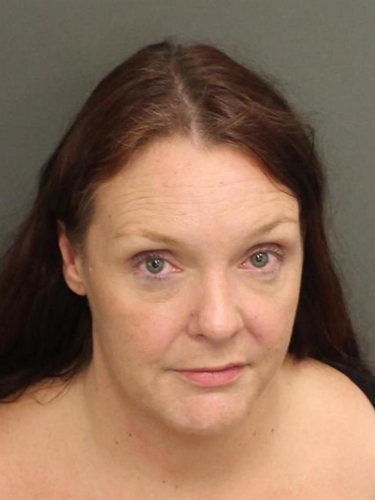  THERESA MARIE MCDOWELL Mugshot / County Arrests / Orange County Arrests