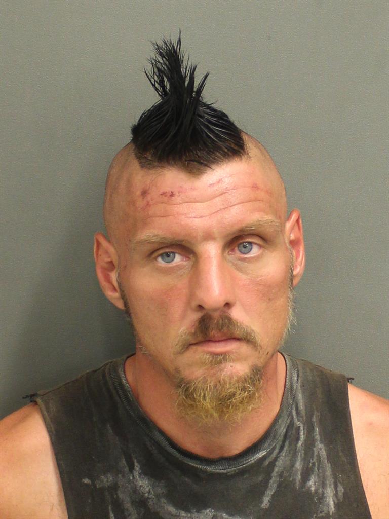  TROY ALAN LUOMA Mugshot / County Arrests / Orange County Arrests