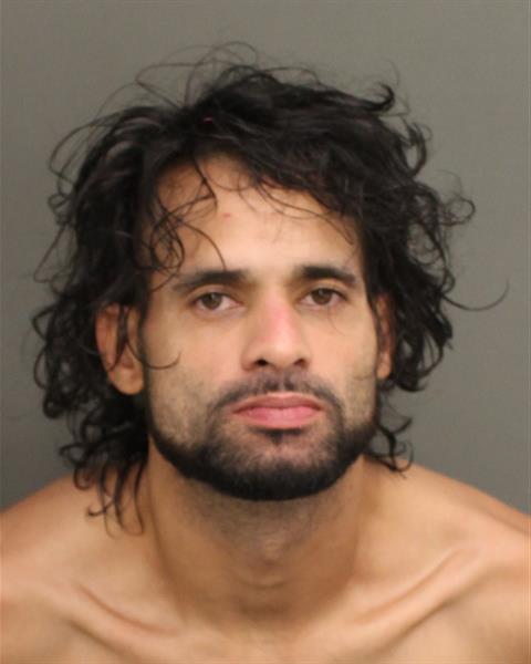  SAMUEL DISLA Mugshot / County Arrests / Orange County Arrests