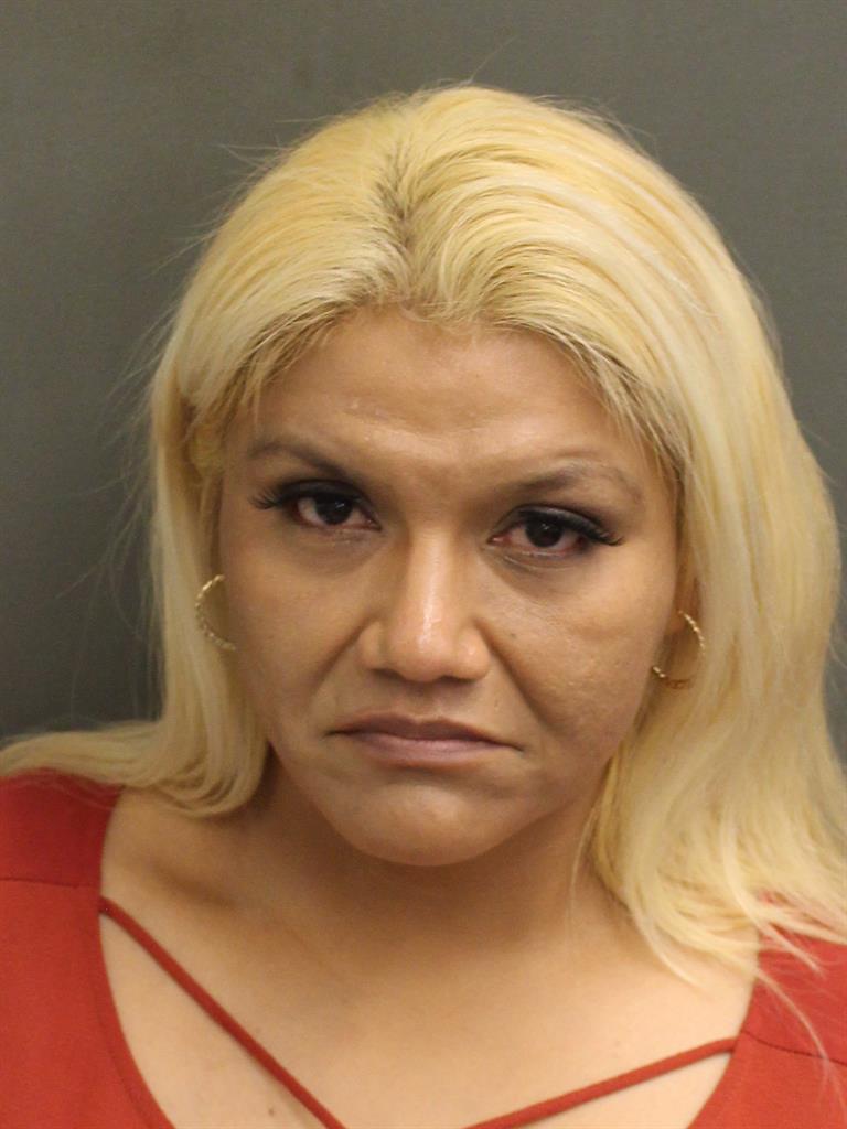  ISABEL YOLANDA VILLANUEVA Mugshot / County Arrests / Orange County Arrests