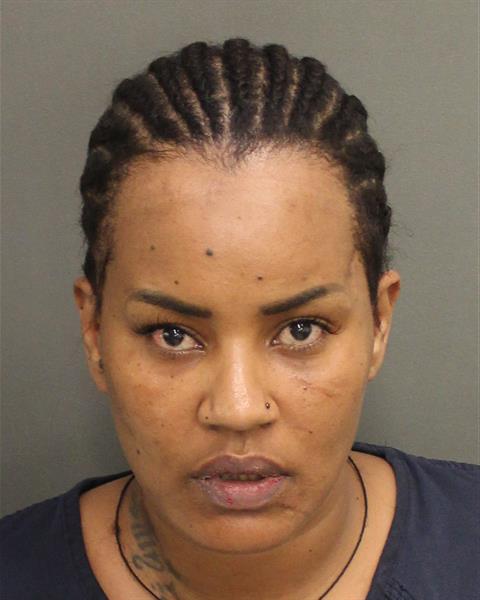  SARA SEYFEDIN Mugshot / County Arrests / Orange County Arrests