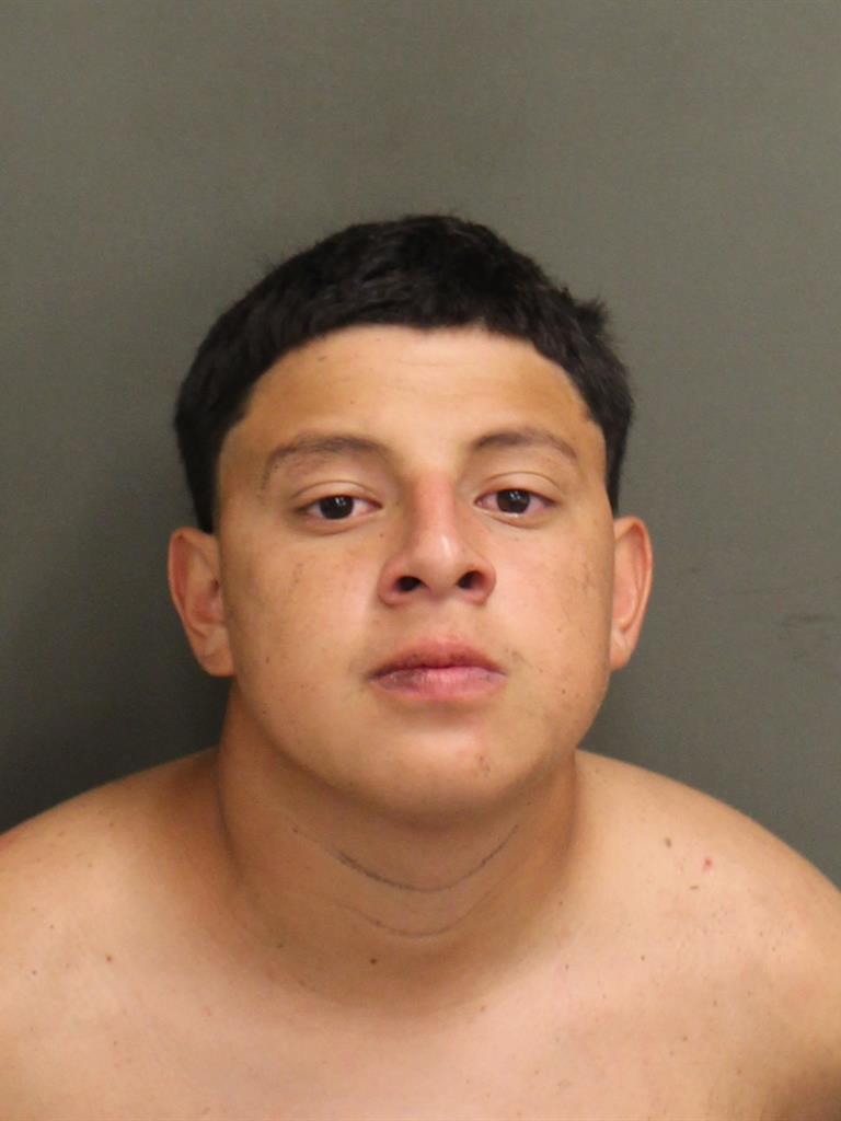  LEE NOEL SAUCEDO Mugshot / County Arrests / Orange County Arrests