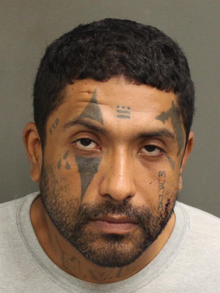  JOSE FLORESAVILA Photo Image