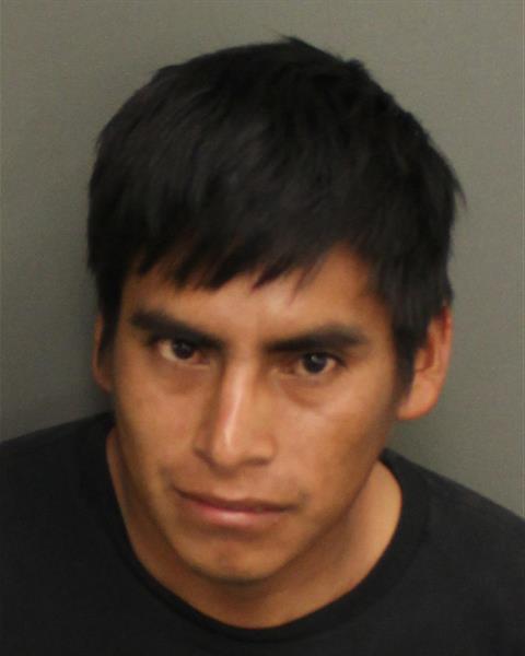  MERCEDES GOMEZPEREZ Photo Image