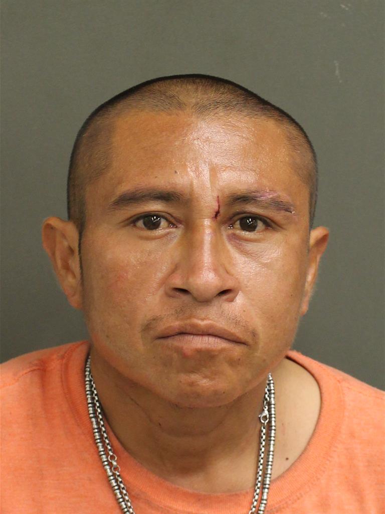  FERNANDO HERRERACRISTOBAL Photo Image