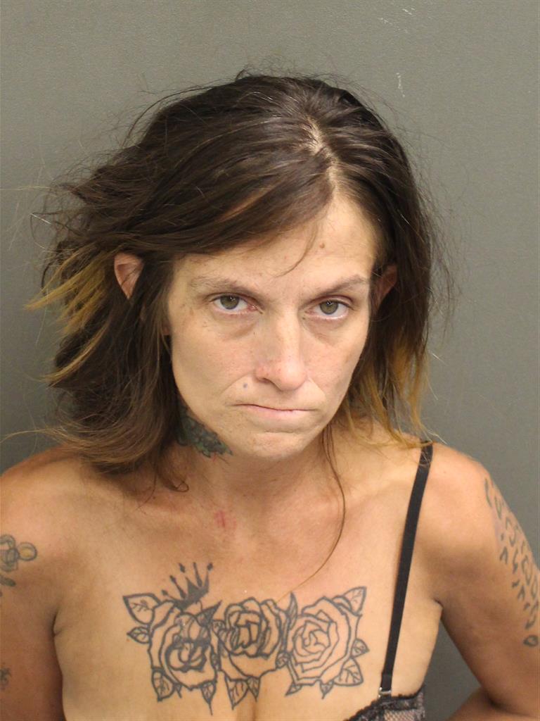  ERIN NICOLE BRASFIELD Mugshot / County Arrests / Orange County Arrests