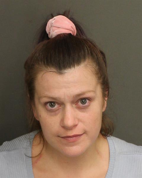  AMBER LEE REGISTER Mugshot / County Arrests / Orange County Arrests