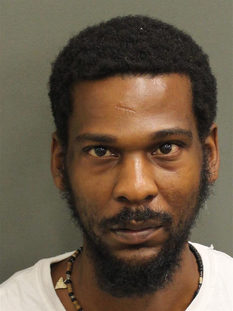  JOHN FLEMMING Mugshot / County Arrests / Orange County Arrests
