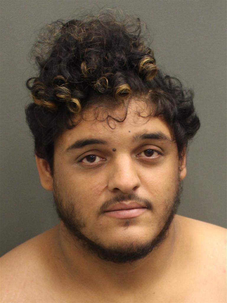  JUAN ANTONIO CASTILLO Mugshot / County Arrests / Orange County Arrests