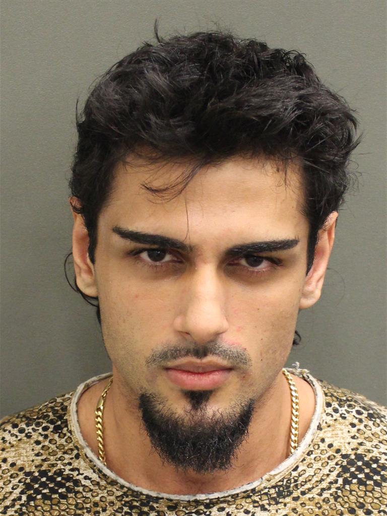  RAZA CHOUDHARY Mugshot / County Arrests / Orange County Arrests