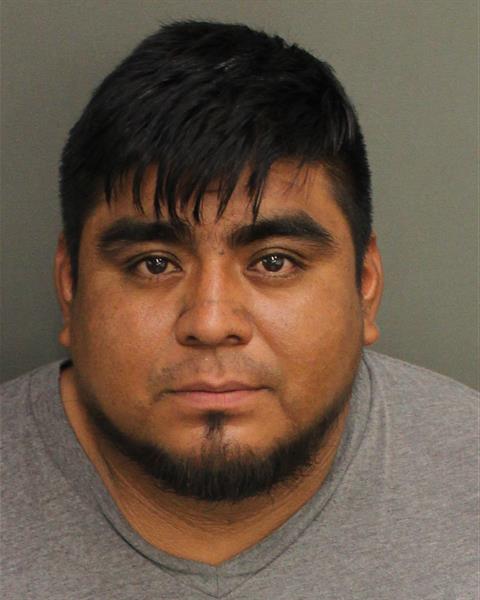  HECTOR ANDRES CAGALGONZALEZ Mugshot / County Arrests / Orange County Arrests