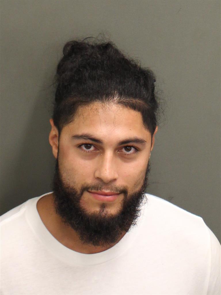  RICKY  JR IRIZARRY Mugshot / County Arrests / Orange County Arrests