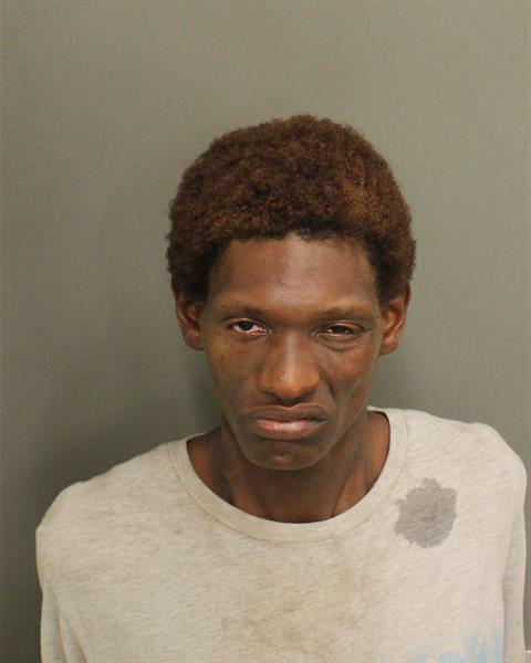  EBONY GRACE MEYER Mugshot / County Arrests / Orange County Arrests