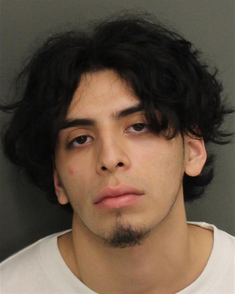  KEVIN GEOVANNY ROSALES Mugshot / County Arrests / Orange County Arrests