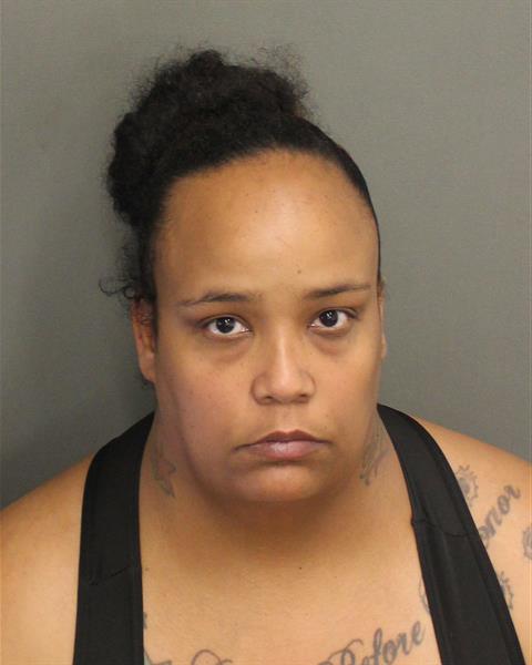  BRITTNEY AMANDA THOMAS Mugshot / County Arrests / Orange County Arrests