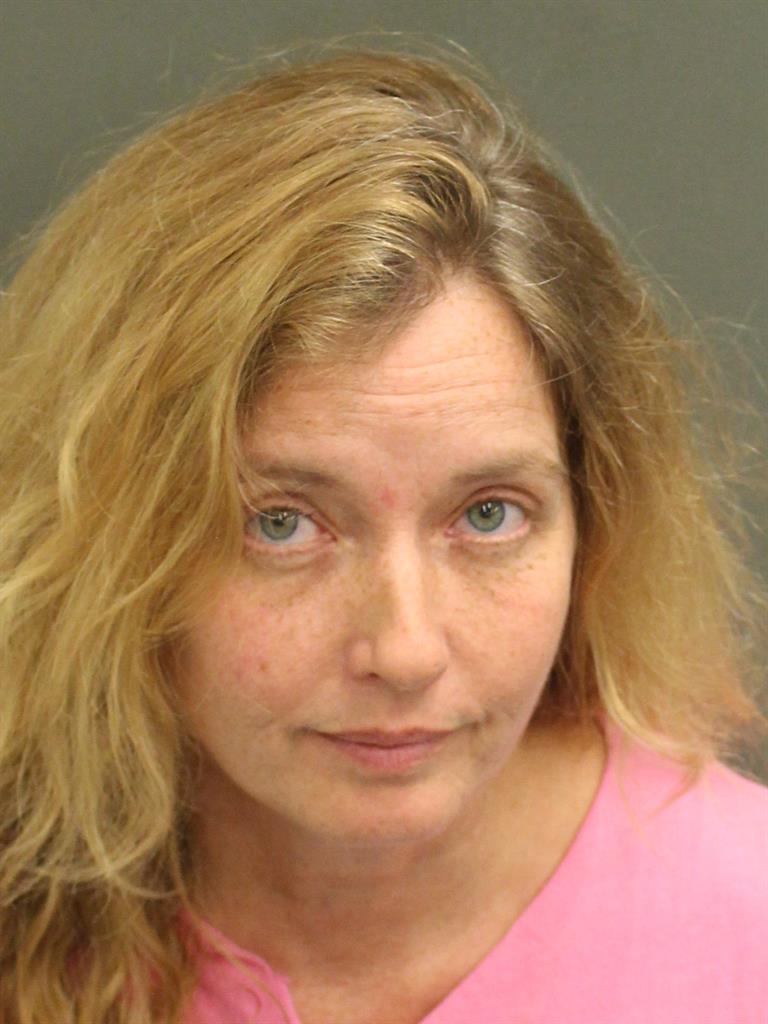  SARA HOLLINSHEAD Mugshot / County Arrests / Orange County Arrests