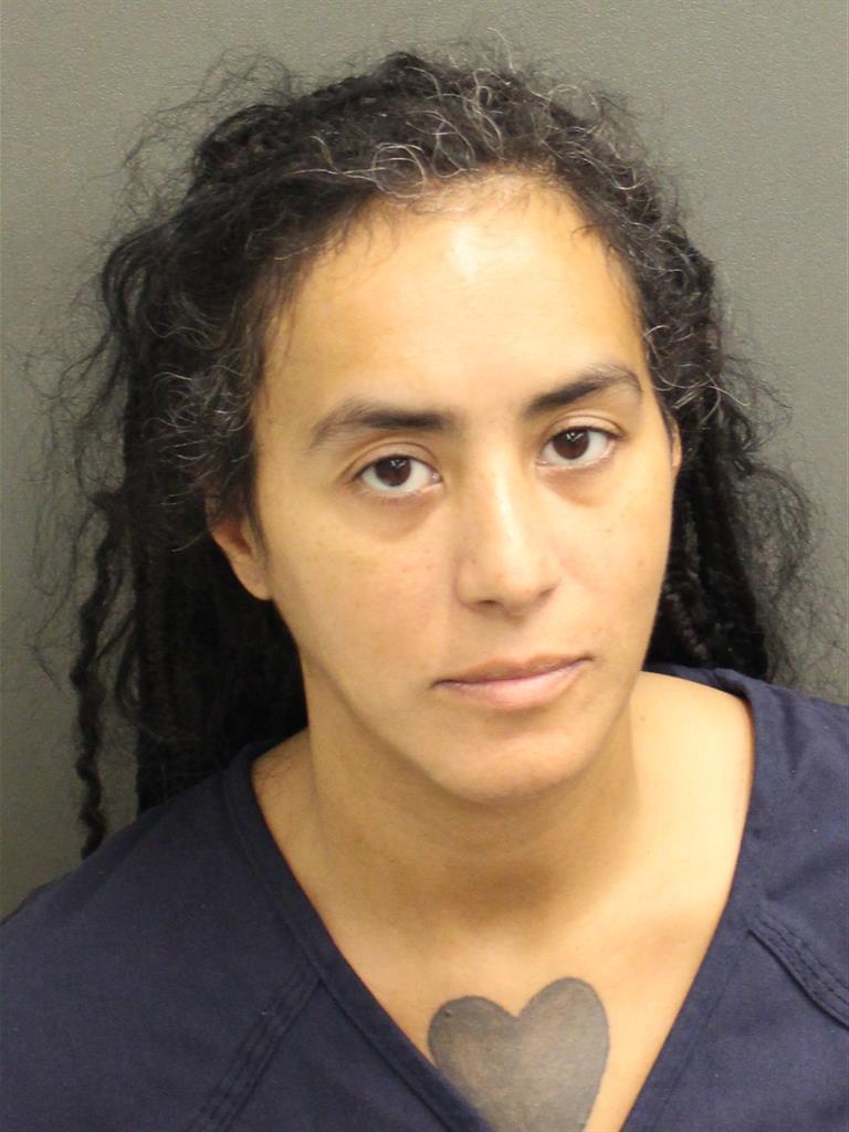  ALMA E RIDEAU Mugshot / County Arrests / Orange County Arrests