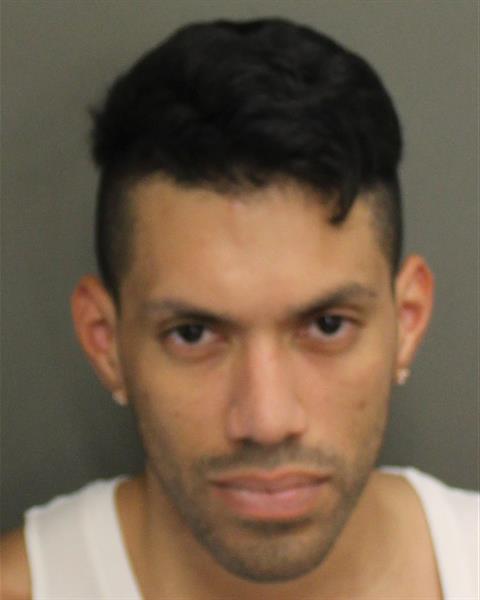  ANTHONY REINA Mugshot / County Arrests / Orange County Arrests