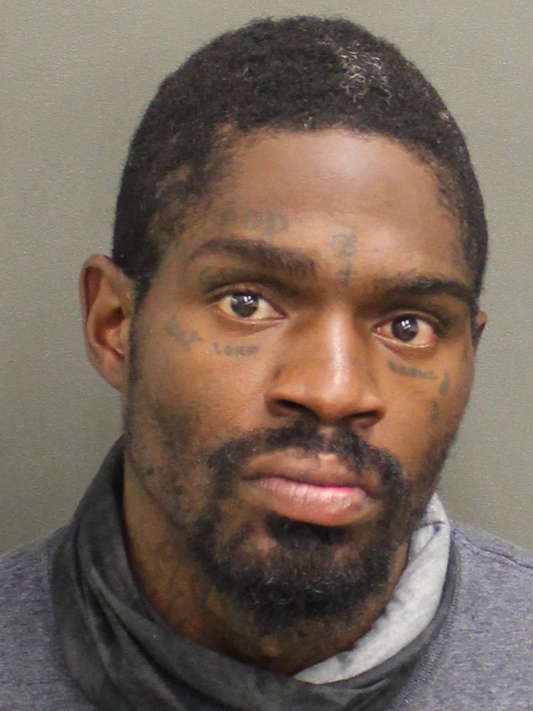  MICHAEL FITZGERALD J BLUE Photo Image