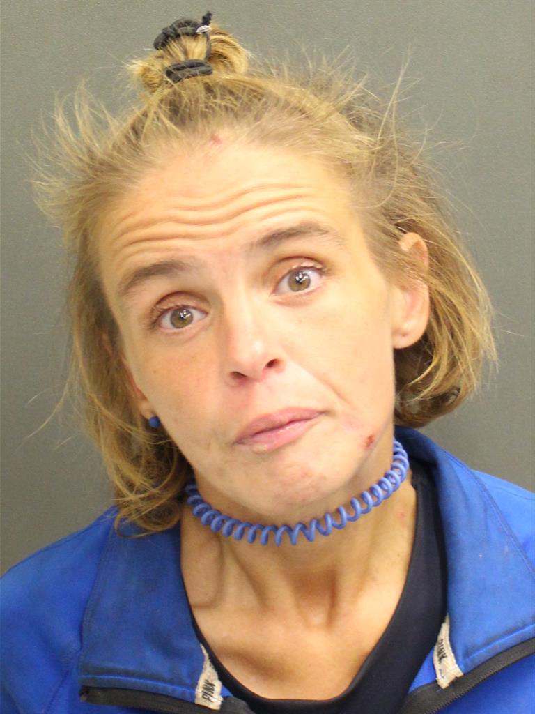LAUREN MICHELLE OHLINGER Mugshot LAUREN MICHELLE OHLINGER Mugshot / County Arrests / Orange County Arrests