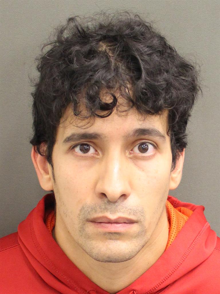  RANFYS FABIAN VALLESIMMONS Mugshot / County Arrests / Orange County Arrests