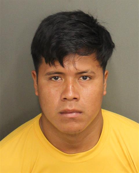  WILMER BRAVOVELASQUEZ Photo Image