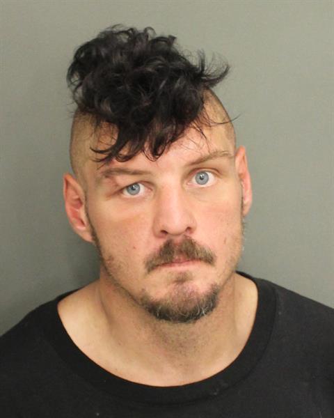  TROY ALAN LUOMA Mugshot / County Arrests / Orange County Arrests