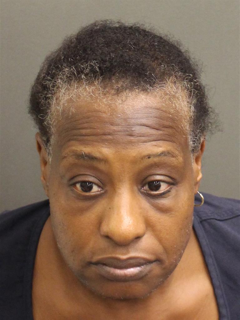  JACQUELINE E NEWSOME Mugshot / County Arrests / Orange County Arrests