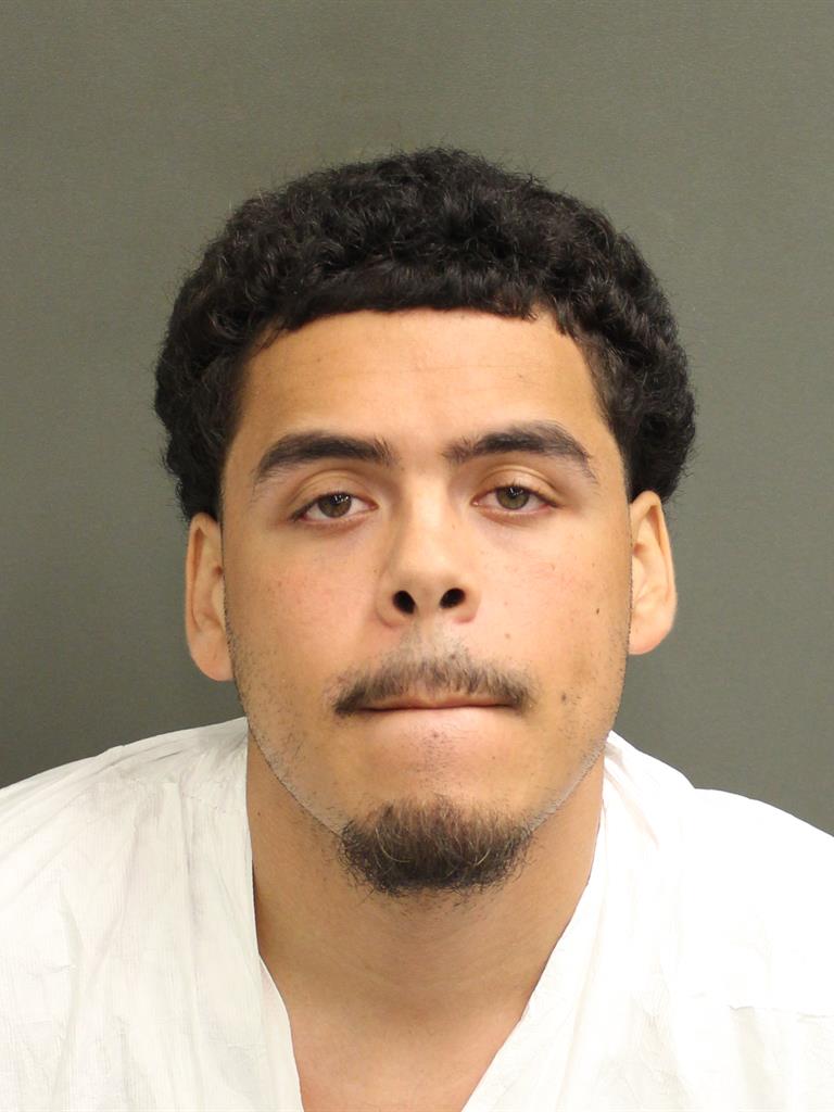  DANNY MANUEL IRIZARRY Mugshot / County Arrests / Orange County Arrests