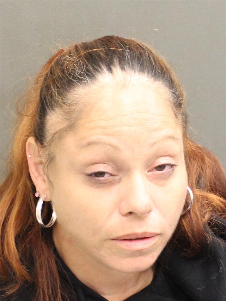  ROXANA CASTRO Mugshot / County Arrests / Orange County Arrests